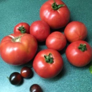 Meet your Posher, Sandi